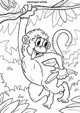 Malvorlage Affen Affe Malvorlagen Ausmalbild Großformat öffnen Als sketch template
