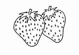 Strawberry Coloring Pages Large Printable sketch template
