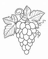 Coloring Pages Fruits Printable Fruit sketch template