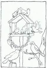 Kleurplaten Kleurplaat Vogels Feeder Feeding Voeren Parel Winterknutsels Designlooter Book Uitprinten Downloaden sketch template