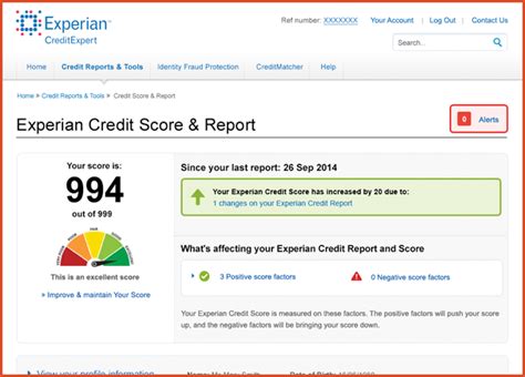 Fake Credit Report Template Business