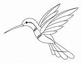 Hummingbird sketch template