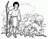 Shepherd David Coloring Boy Sheep Pages Bible Lord Flock Kids Color Printable Tends Story Holding Sheets Staff Small Getcolorings Crafts sketch template