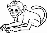 Monkey Spider Clipart Colouring Library Coloring Pages Kids sketch template