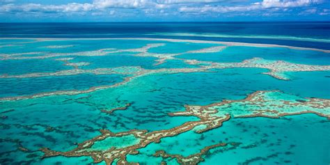 great barrier reef faces irreversible damage report  huffington