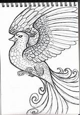 Mythical Creatures Colouring Book Behance Outline Colour sketch template