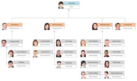hierarchy chart software  hierarchy charts   templates