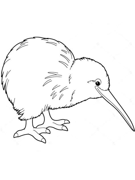 kiwi bird drawing  getdrawings