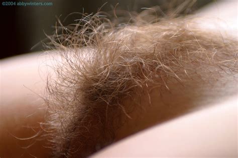 abbywinters hairy anal sex movies