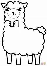 Alpaca Alpaka Lama Ausmalbilder Colorare Kids Disegni Malvorlagen sketch template