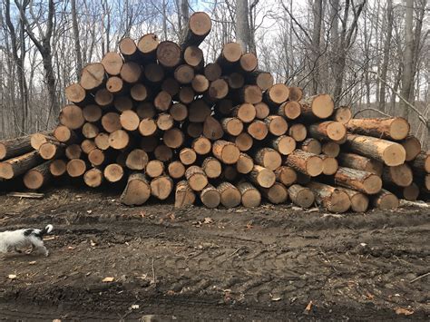 smaller logs