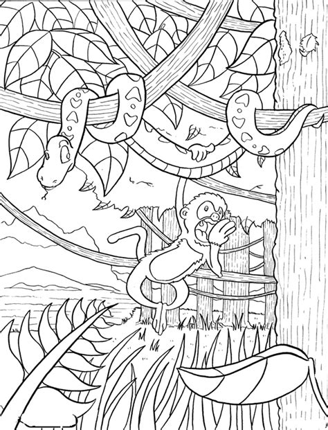 rainforest coloring pages coloring pages  print