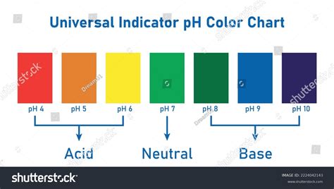 universal indicator ph color chart scientific stock vector royalty
