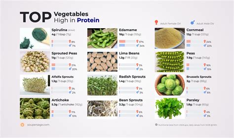 top vegetables high  protein