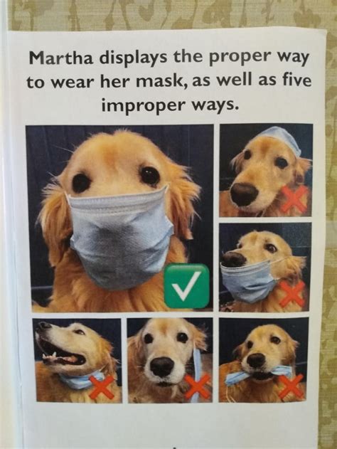 properly wear  mask gag