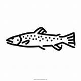 Fish Freshwater Fishes sketch template
