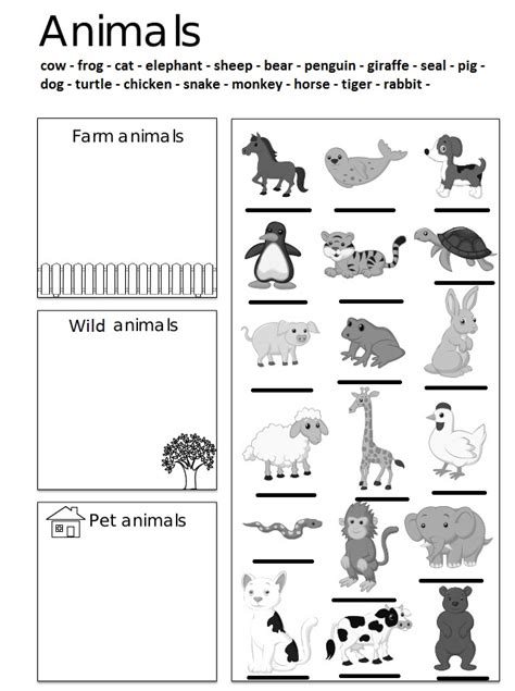 wild animals exercises  printable wild animals esl worksheets
