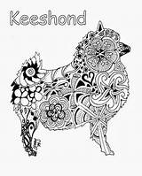 Keeshond Zentangle Coloring Pages Color Pomeranian Spitz Dog sketch template