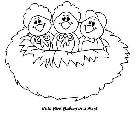 cutebirdnestcartooncoloringpage cartoon coloring pages owl