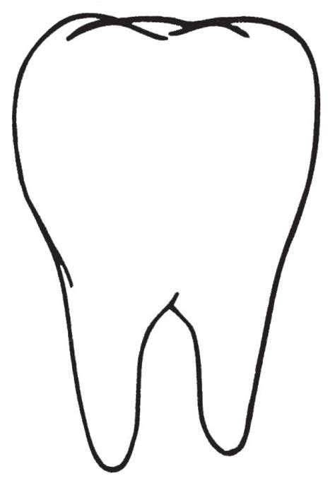 pin van drivenbyfaith op pics tandarts menselijk lichaam tanden