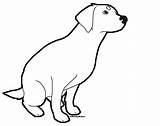 Labrador sketch template