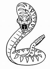 Snake Coloring Pages Snakes Kids Anaconda Rattlesnake Drawing Easy Cobra Rainforest Jungle Scary Color Animal Diamondback Drawings Printable Viper Cool sketch template