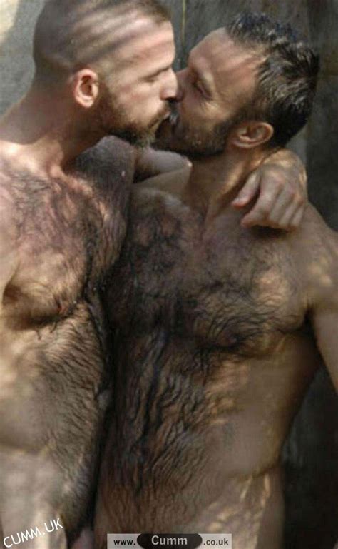 men kissing dutch bears hairy and horny the hapenis project