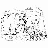 Coloring Pages Bear Forest Friends Surfnetkids Next sketch template