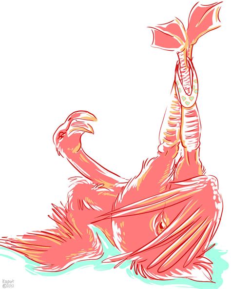 Rule 34 2012 Avian Bird Female Flamingo Kaputotter Legs
