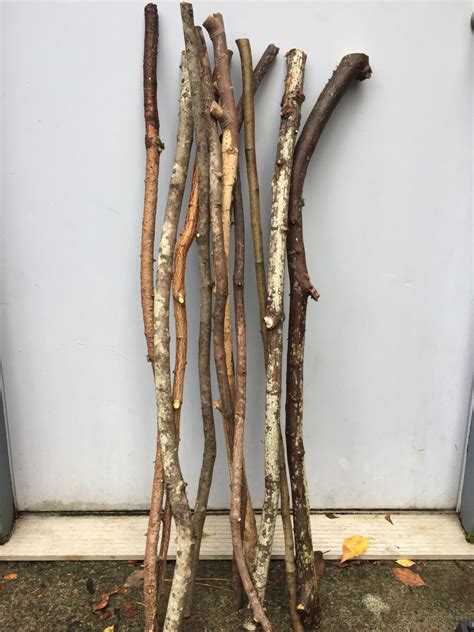 extra long wood tree branches  arts crafts home decor    feet long    thick