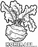 Kohlrabi Vegetable sketch template