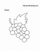 Fruit Grapes Meyve Boyama Printablee Printthistoday sketch template