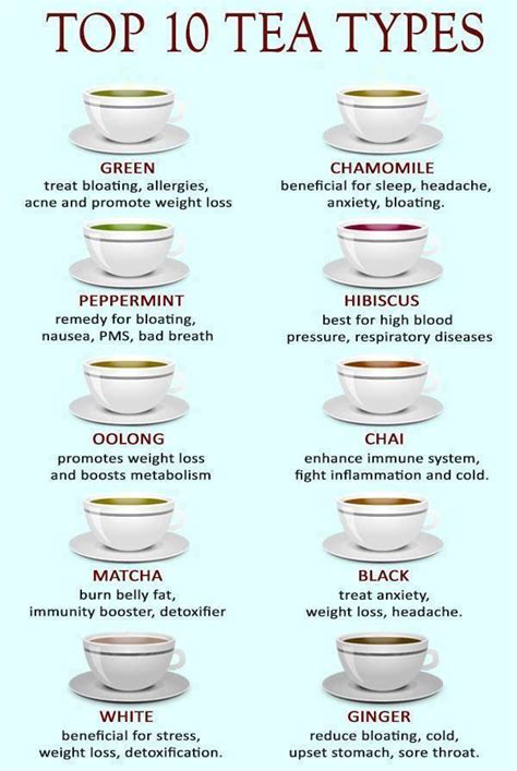 Top 10 Tea Types Common Sense Evaluation