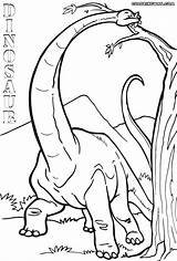 Neck Long Dinosaurs Coloring Pages Print Colorings sketch template