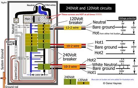 double pole switch wiring diagram apparely