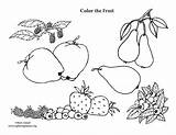 Fruit Coloring Pdf Sponsors Wonderful Support Please sketch template