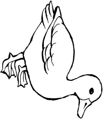 kids  funcom  coloring pages  ducks