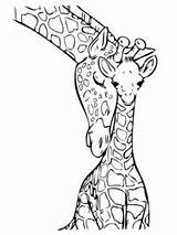 Giraf Topkleurplaat sketch template