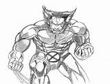 Wolverine Super Printablefreecoloring sketch template
