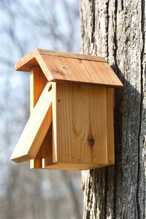 chickadees cedar bird house etsy maison oiseaux nichoirs peints nichoir