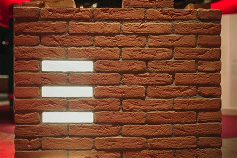 bricks  light  exposed walls