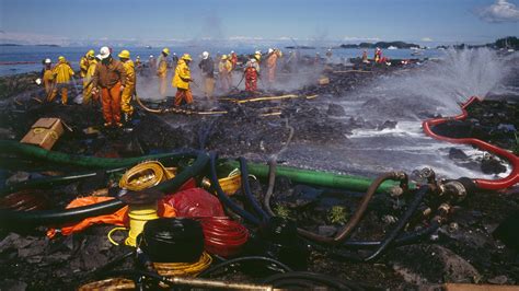 exxon valdez oil spill  effects location history