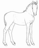 Lineart Foal sketch template