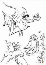 Nemo Coloring Pages Printable Finding Gill Friends Silhouettes Print Kids Paper sketch template
