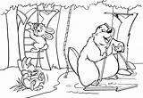 Coloring Pages Dam Getcolorings Beaver sketch template