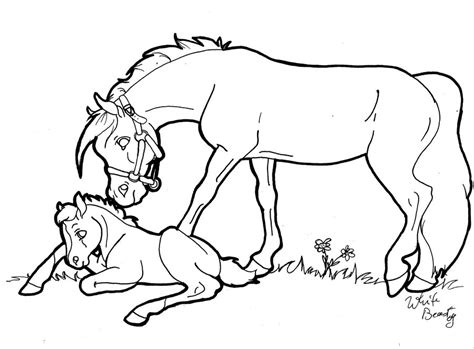 horse  foal coloring pages  getcoloringscom  printable