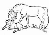 Foal Horse Coloring Pages Mare Drawing Getcolorings Printable Color Getdrawings sketch template