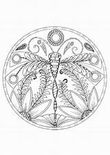 Coloring Dragonfly Pages Adults Printable Getcolorings Just Click Print sketch template