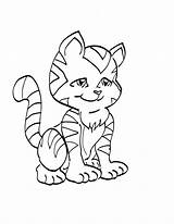 Pisica Colorat Planse Pisici Desene Gatti Animale Imagini Jocuri Colorare Adulti Imaginea Educative Trafic sketch template