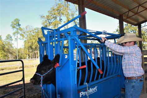 livestock facility check up uf ifas extension escambia county